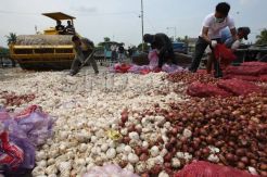 Pemusnahan bawang selundupan
