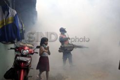 Cegah nyamuk demam berdarah