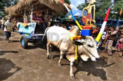 Sultan hadiri Festival Gerobak Sapi 2013