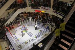Hibur pengunjung, MNC gelar pertandingan tinju di Mall Panakukang Makassar