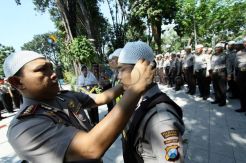 1.081 Timsus Kurma diturunkan selama bulan puasa