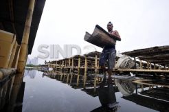 Pasokan ikan menurun