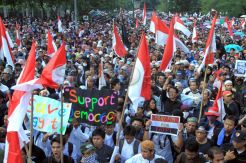 Aksi solidaritas untuk perdamaian Mesir