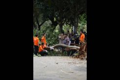 Olah TKP penembakan dilakukan di tiga titik