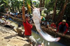 Lomba pancing lele di Kalimalang