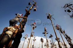 Panjat pinang massal di Ancol