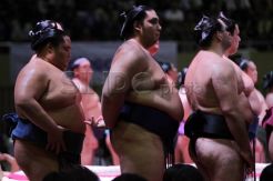 Olahraga tradisional Sumo Jepang, lucu dan menghibur