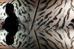 Pameran kujang, kenalkan keragaman dan filosofi