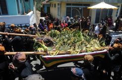 Unan-unan, upacara bersih desa adat Tengger