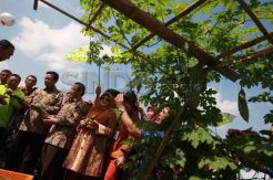 Mentan dan Sultan buka Pekan Flori dan Flora Nasional