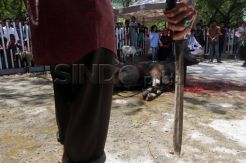 Pemotongan hewan kurban di masjid Al-Markaz