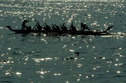 8 negara ikuti Festival Perahu Naga di Makassar
