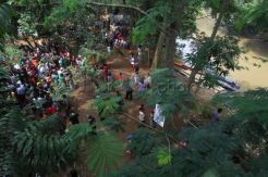 Lahan pinggir Ciliwung akan ditanami Salak Condet sebagai cagar budidaya