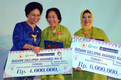 Menkes serahkan Anugerah Delima Award 2 IBI