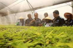 Menhut buka lokasi persemaian bibit di IPB