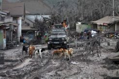 Lima desa sekitar Sinabung rusak parah