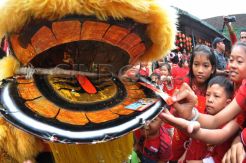 Atraksi Barongsai hibur ratusan pelajar SD
