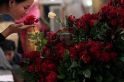 Jelang Hari Valentine pesanan bunga di Pasar Bunga Rawa Belong meningkat