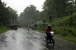 Tiang listrik dan pohon tumbang tutup akses jalur pantura di Gresik