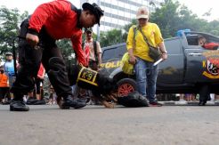 SAR Dog beraksi si bundaran HI