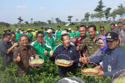 Mentan lepas ekspor bunga melati Tegal