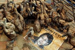 Demo Bebek, desak KPK usut kasus BLBI