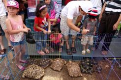 Pameran Flora Fauna 2014