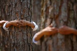 2.001 Anak Memeluk Pohon di India