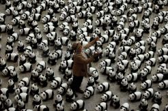 Instalasi 1600 Patung Panda di Bandara Hongkong