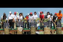 AGP Tanam Mangrove Dukung Tour De Singkarak