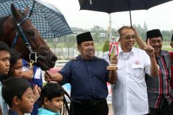 Pencinta Kuda Dukung Prabowo-Hatta