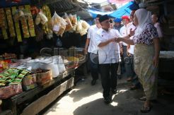 Cawapres Hatta Rajasa Kunjungi Warga Deliserdang