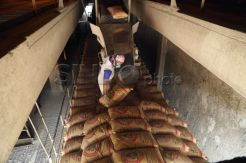 Peresmian Kantor Pusat Semen Indonesia di Pabrik Tuban