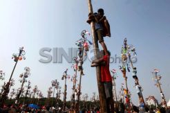 169 Pohon Pinang di Pantai Karnaval Ancol