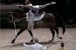 World Equestrian Games 2014 di Prancis