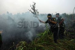 Komandan Kodim 0418 Palembang Turun Tangan Padamkan Kebakaran Lahan