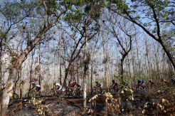 Etape Pertama Tour de Banyuwangi Ijen
