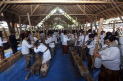 Perayaan Panen Padi Adat Cigugur Kuningan