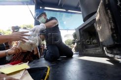 Polrestabes Surabaya Musnahkan Narkoba