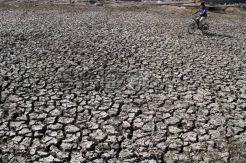 Waduk Cengklik Boyolali Mengering