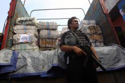 8 Ton Ganja Dimusnahkan Petugas