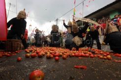 Kemeriahan Perang Tomat Cikareumbi