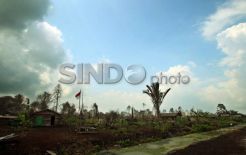 Budi Daya Sagu Meranti