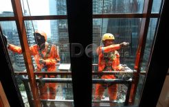 Perlindungan Tenaga Kerja