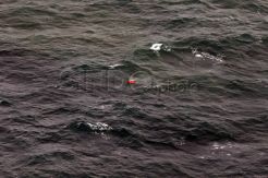 Ditemukan Serpihan Diduga AirAsia QZ8501