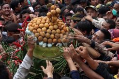 Ribuan Warga Solo Rebutan Gunungan Gerebeg Mulud