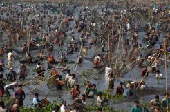 Mancing Bersama Pada Akhir Musim Panen di India