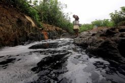 Kawasan Rancaekek Tercemar Limbah Industri