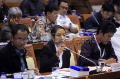 Komisi VI DPR dan Menteri BUMN Bahas Roadmap Lima Tahunan