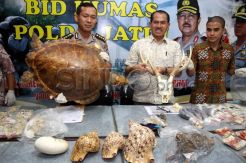Polisi Bongkar Perdagangan Satwa Dilindungi
